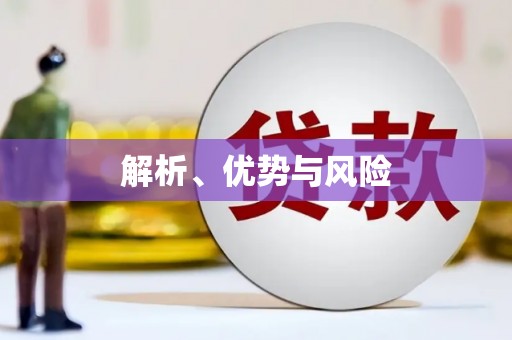 大邑解析、优势与风险