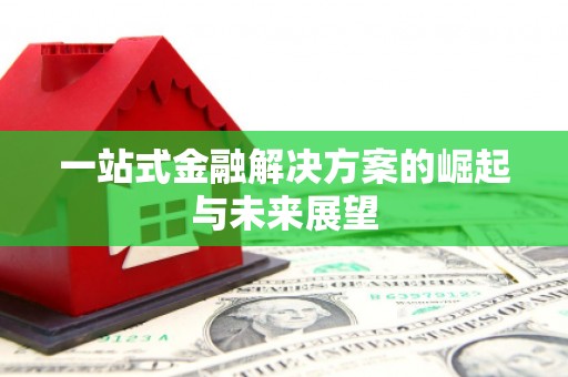 大邑一站式金融解决方案的崛起与未来展望