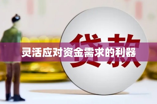 大邑灵活应对资金需求的利器