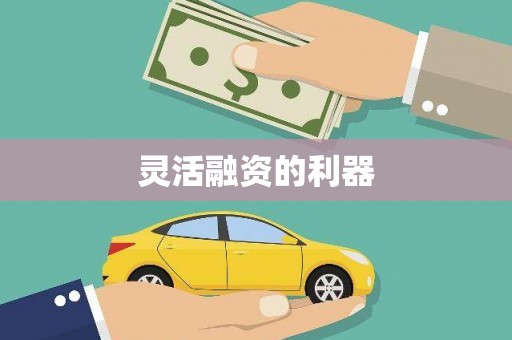 大邑灵活融资的利器