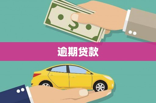 大邑逾期贷款