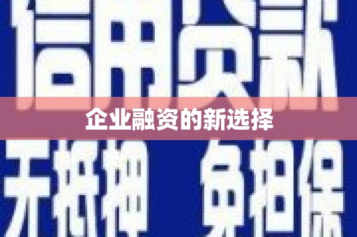 大邑企业融资的新选择