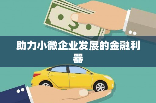 大邑助力小微企业发展的金融利器