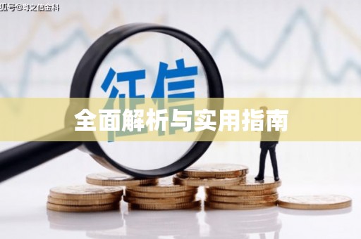 大邑全面解析与实用指南