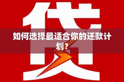 大邑如何选择最适合你的还款计划？