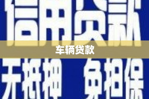 大邑车辆贷款