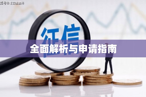 大邑全面解析与申请指南