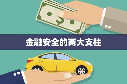 大邑金融安全的两大支柱