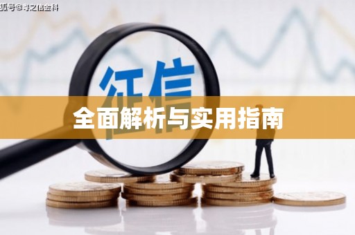大邑全面解析与实用指南