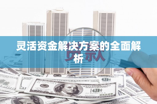大邑灵活资金解决方案的全面解析