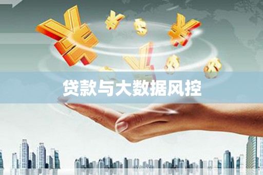 大邑贷款与大数据风控