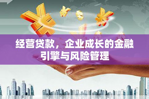 大邑经营贷款，企业成长的金融引擎与风险管理