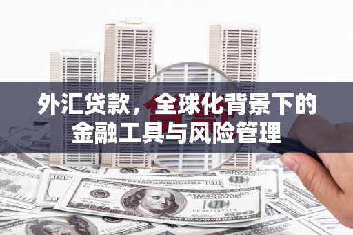 大邑外汇贷款，全球化背景下的金融工具与风险管理