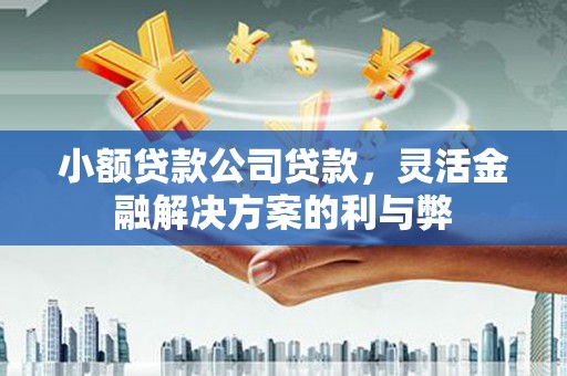 大邑小额贷款公司贷款，灵活金融解决方案的利与弊