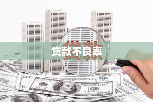 大邑贷款不良率