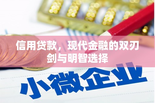 大邑信用贷款，现代金融的双刃剑与明智选择