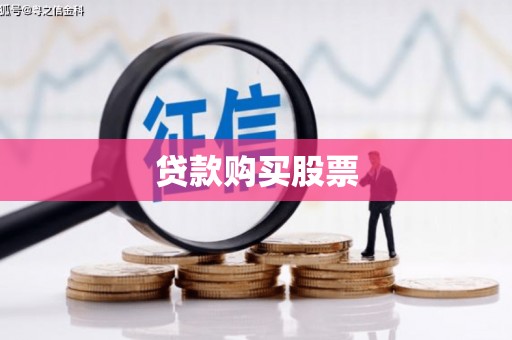大邑贷款购买股票