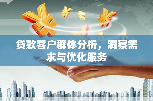 大邑贷款客户群体分析，洞察需求与优化服务