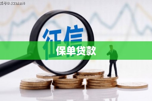 大邑保单贷款